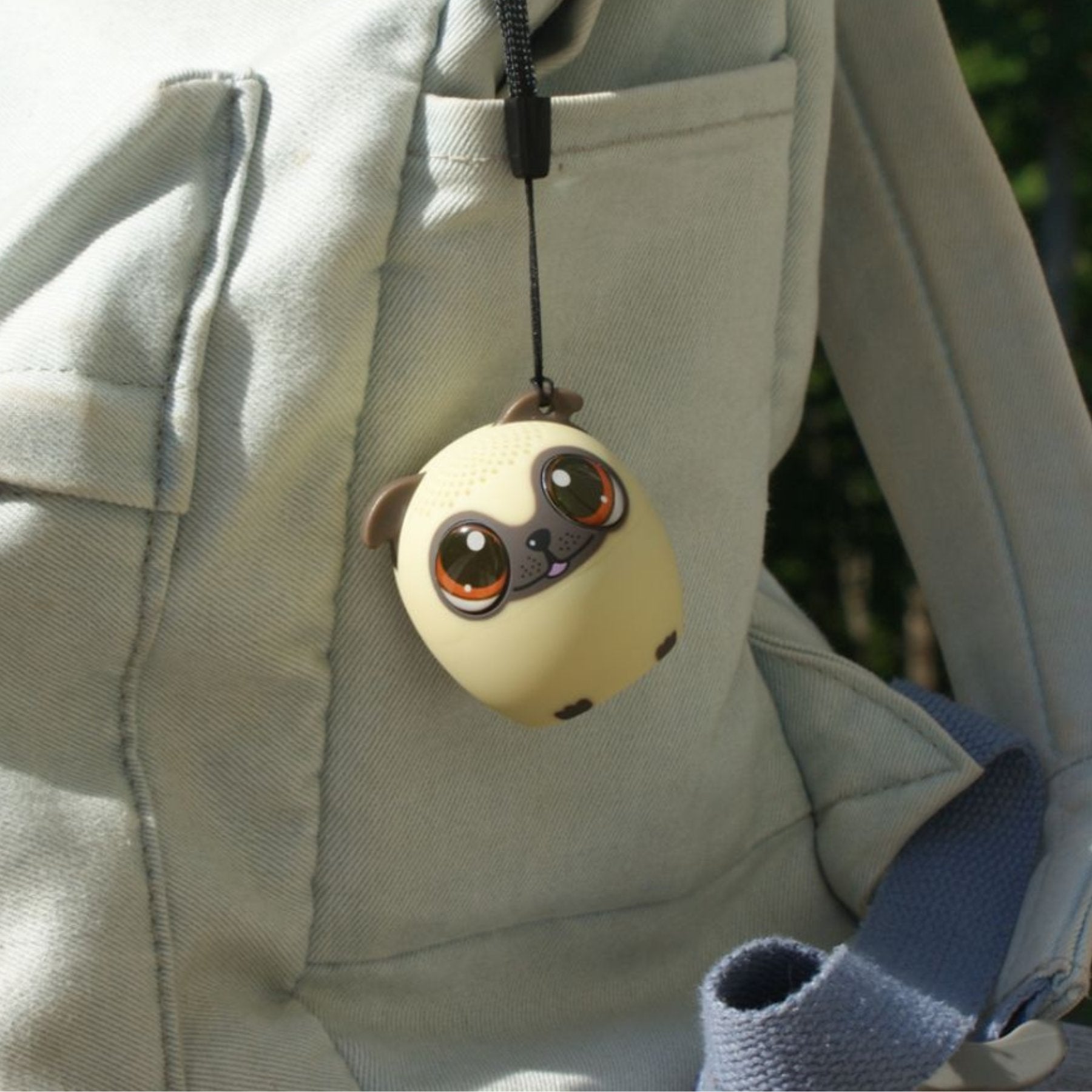 My Audio Pet