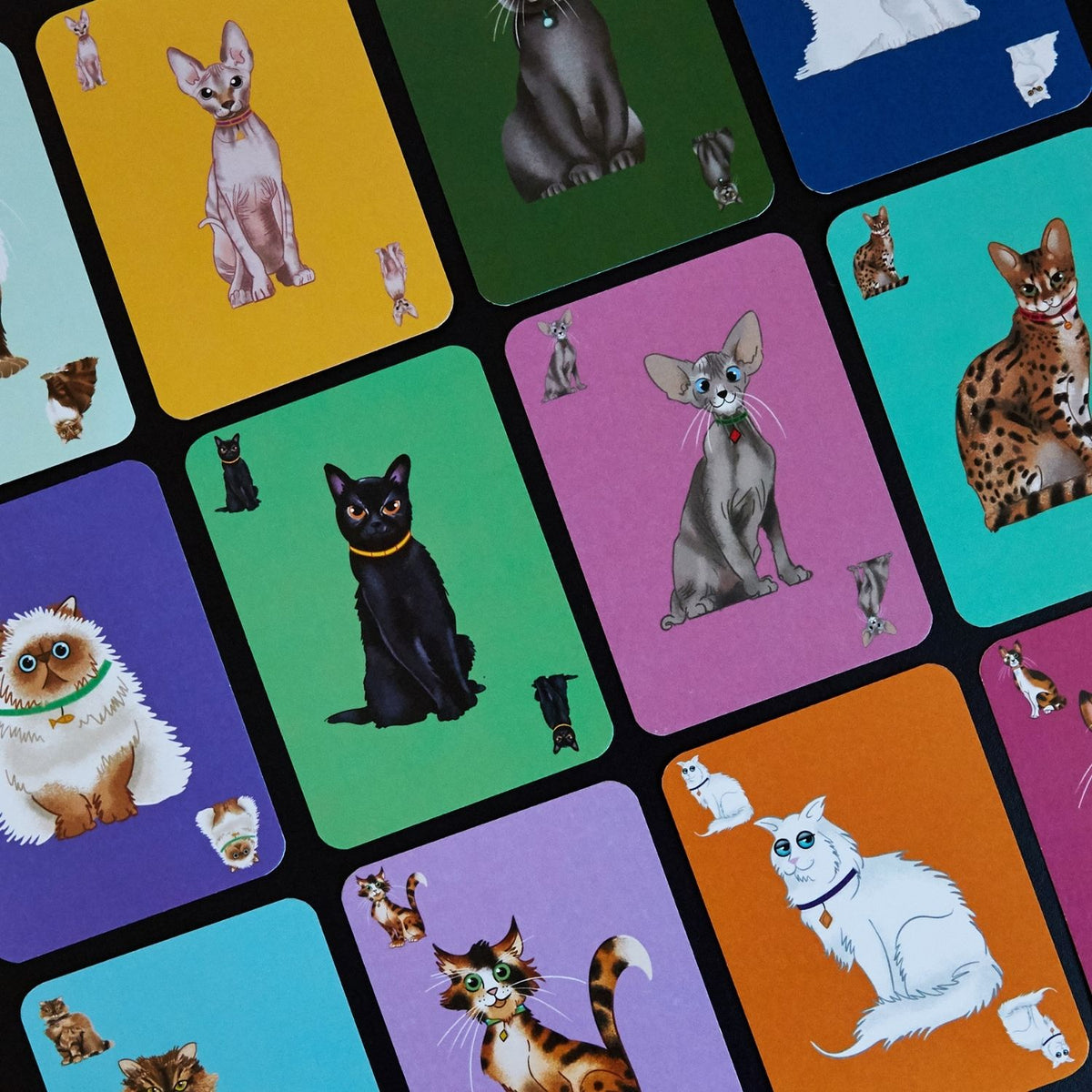 Herding Cats Card Game - Close up of cards from the game