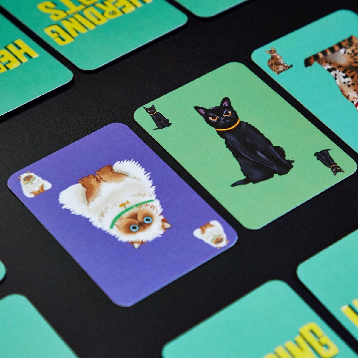 Herding Cats Card Game - Close up of cards from the game
