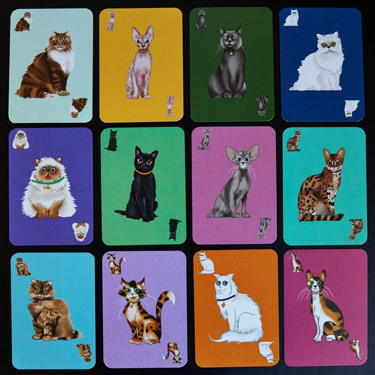 Herding Cats Card Game - Close up of cards from the game