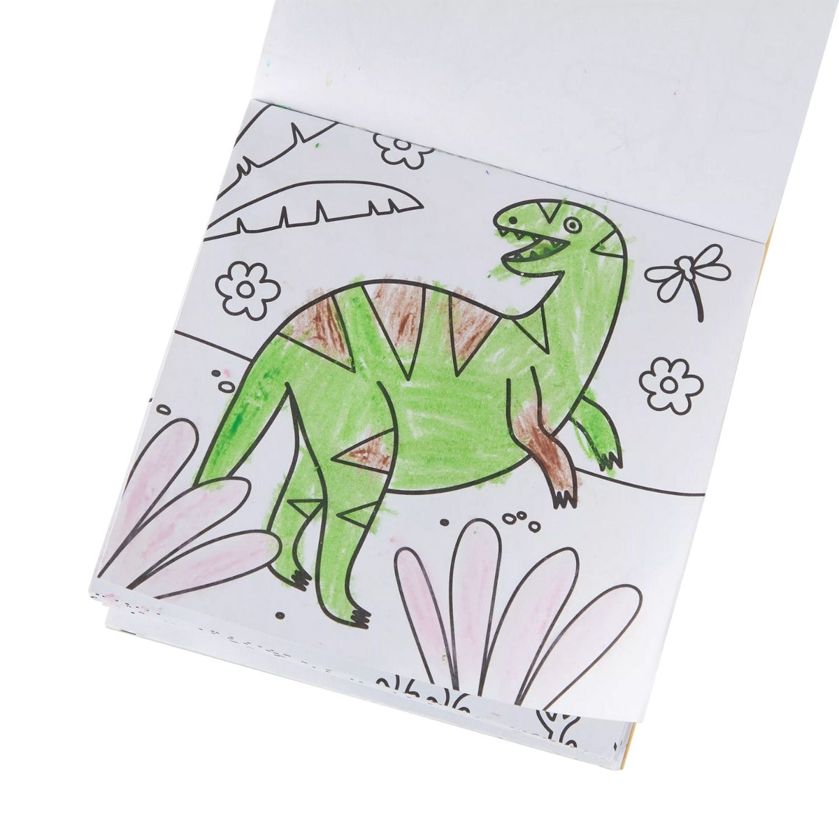 A carry along coloring book and crayon set with a Dinoland theme, featuring 9 jumbo crayons and 48 dinosaur-themed coloring pages packaged in a green and blue box with illustrations of colorful dinosaurs.