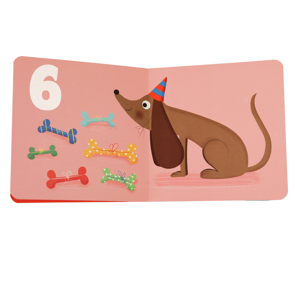 Animals first book of numbers opened