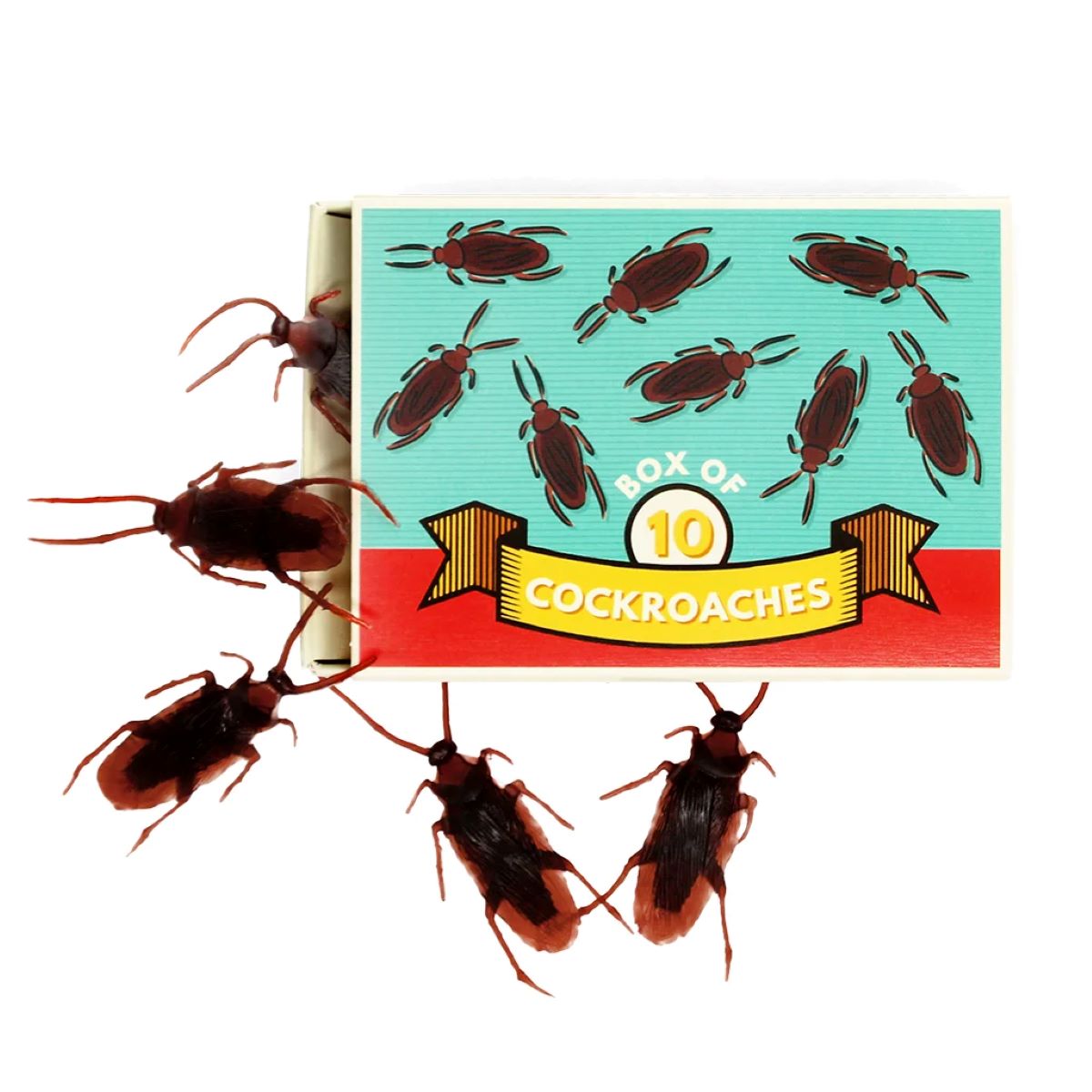 Box of 10 cockroaches out of box