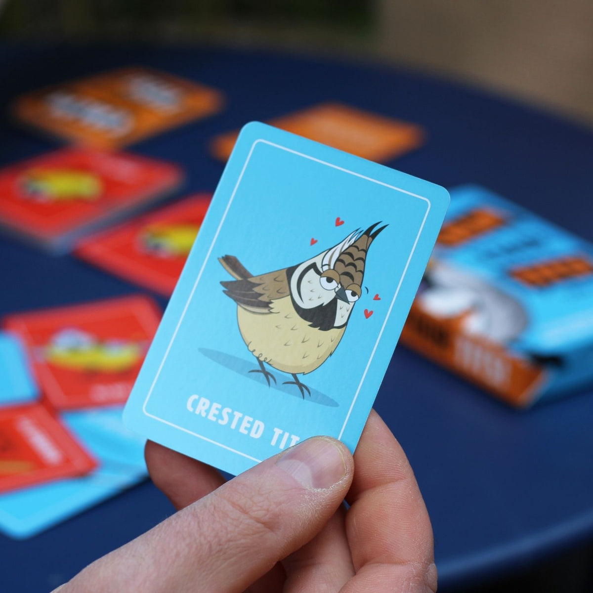 The image shows a box of the &#39;Calm Your Tits&#39; card game featuring a cartoon bird with exaggerated expression on a blue background. The game is indicated for 2-6 players, ages 16+, with 48 cards.