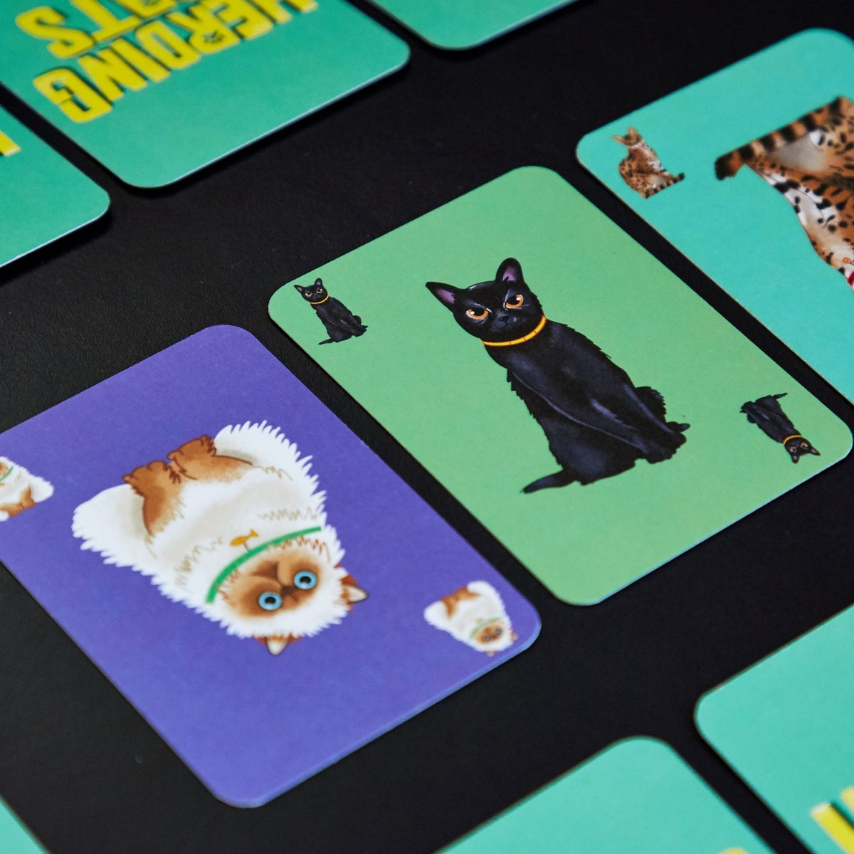 An artistic arrangement of various cat cards fanned out, showcasing the diverse array of silly cat illustrations, expressions, and color-coded borders.