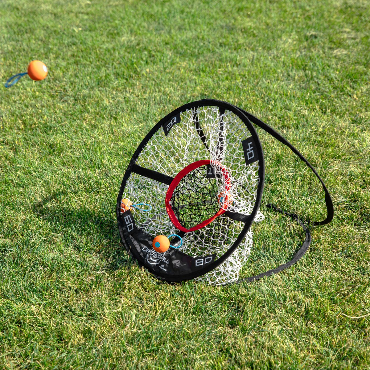 Net with a red ring on grass, featuring the brand 'DartBall'.