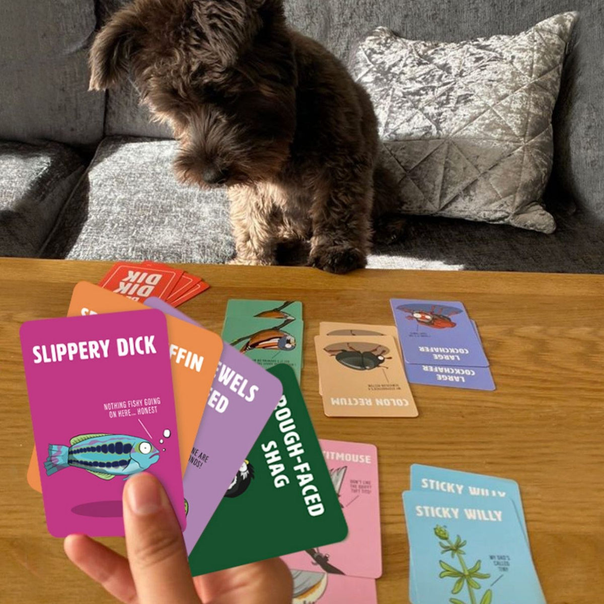 The image shows the cover of the card game &#39;Don&#39;t be a Dik Dik&#39;, featuring an illustration of a dik dik (a type of antelope) on a red background, with the title and a caution note &#39;Contains mild naughtiness&#39;.