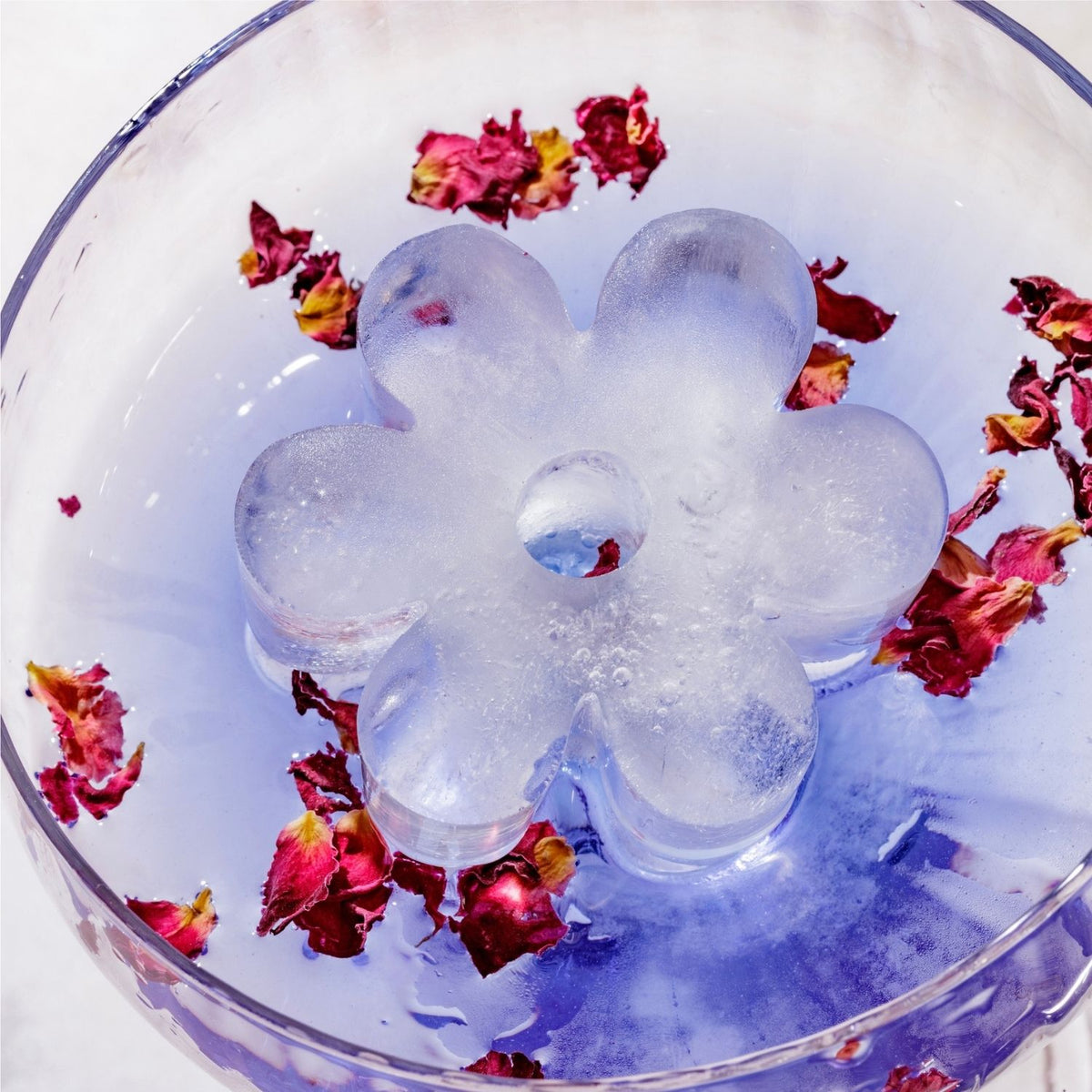 A large, clear ice daisy from a flower shaped ice mould floating in premium cocktail, showcasing the detailed petals and 50mm depth.