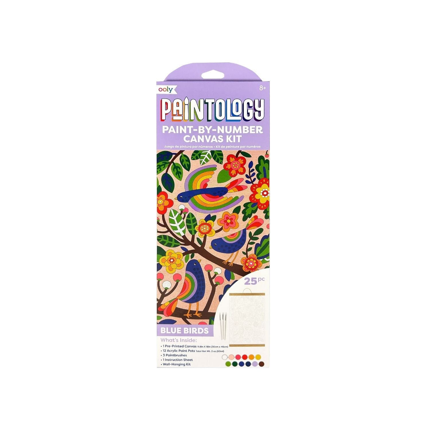 A Paintology paint-by-number canvas kit with the design 'Blue Birds' displayed on the packaging, including a colorful image of three birds on a branch.