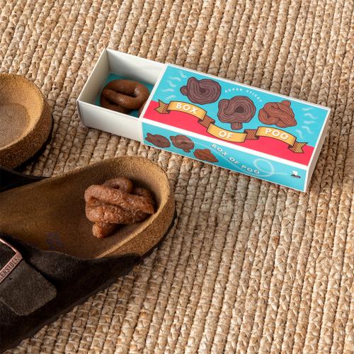 Box Of Sticky Poo out of box and in a shoe